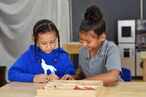 Battle Creek Montessori Academy students work together at their desk, sharing Montessori supplies in the classroom.