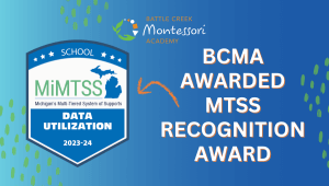 BCMA Award Blog Cover